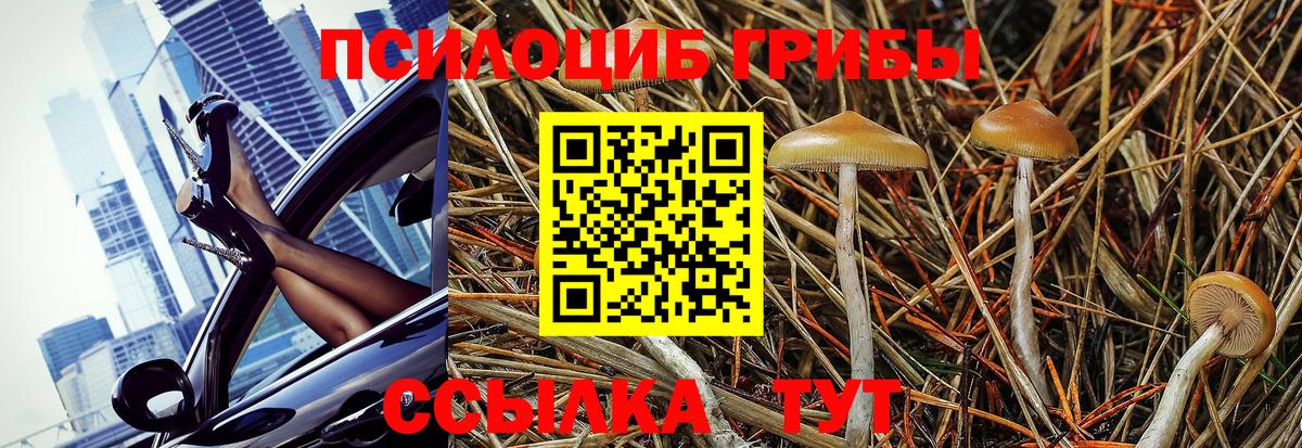 Кемерово  Галлюциногенные грибы Cubensis  Псилоцибиновые грибы мухоморы  Вход с VPN 